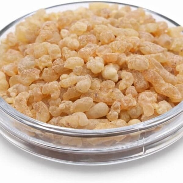 Startseite 10 Naturweihrauch Olibanum – Korngröße Mittel