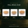 misticsparks-olibanum-koernungen-fein-mittel-grob misticsparks olibanum koernungen fein mittel grob misticSparks