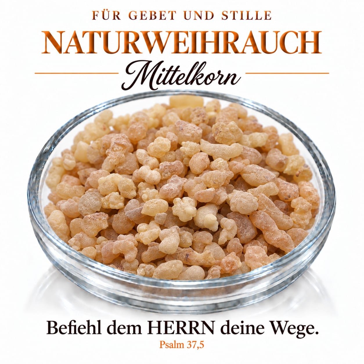 Naturweihrauch Olibanum mittelkörnig – reines Boswellia-Harz 50 g bis 500 g 3 Mittelkörniger Naturweihrauch Olibanum in einer Glasschale – Weihrauchkörner aus Boswellia-Harz, Psalm 37,5