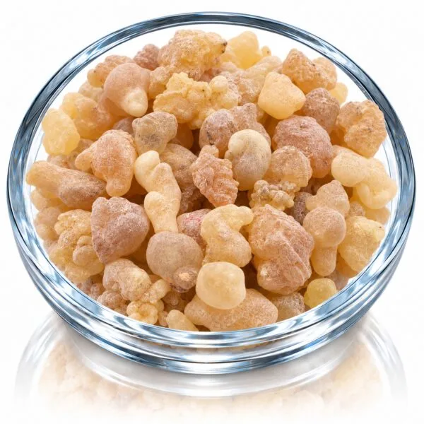 Startseite 12 Grobkörniger Naturweihrauch Olibanum – helle Harzstücke in einer Glasschale auf weißem Hintergrund